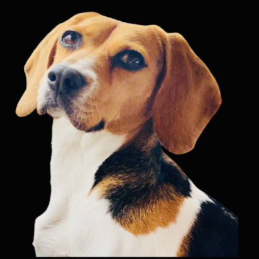 Icon von Marcie Run